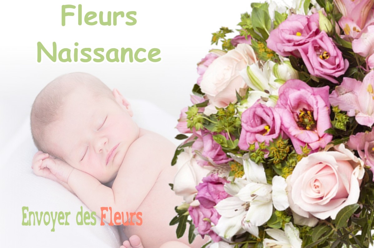 lIVRAISON FLEURS NAISSANCE à STENAY